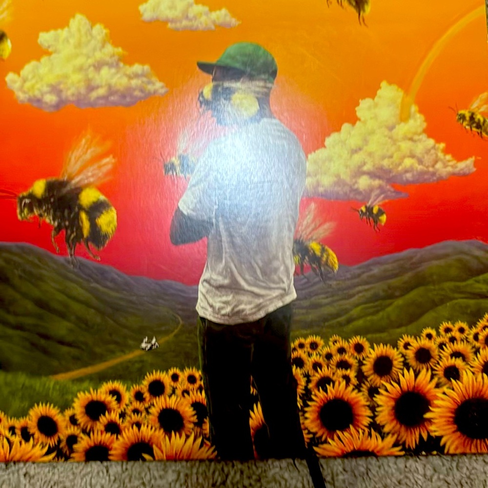 Flower Boy Record